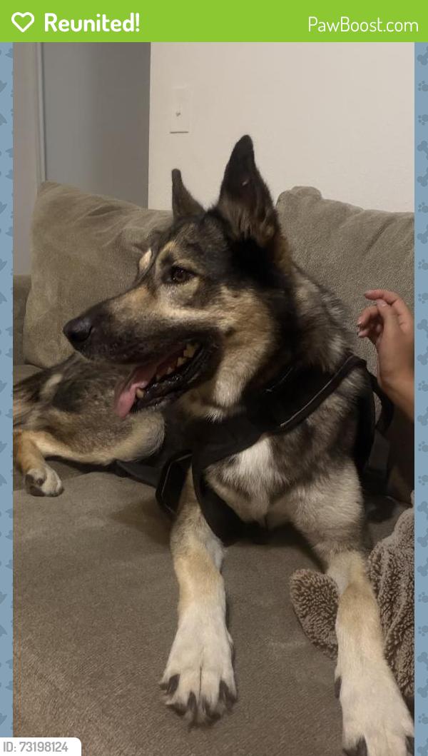 Reunited Male Dog last seen Near e park blvd, Plano, TX 75074