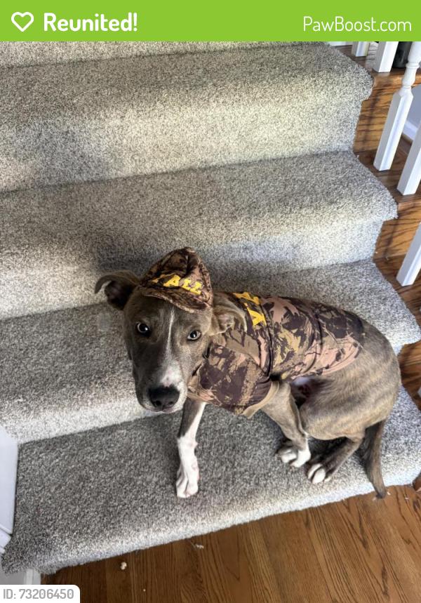 Reunited Male Dog last seen country club, Fayetteville, NC 28311