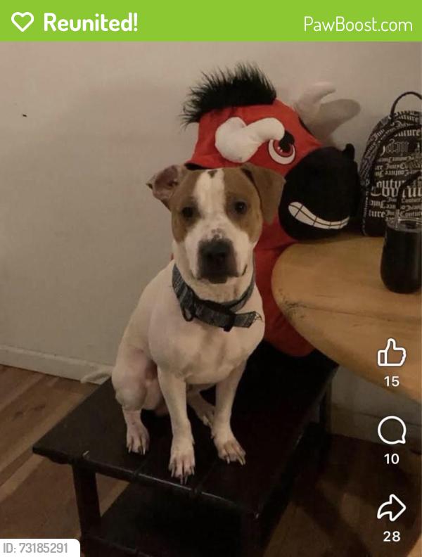 Reunited Male Dog last seen Oneida, NY, USA, Oneida, NY 13421