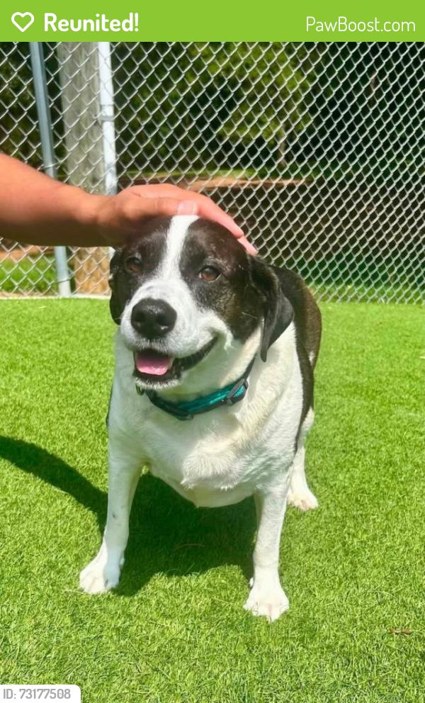 Reunited Male Dog last seen Chadbourne Ave NW, Concord, NC 28027