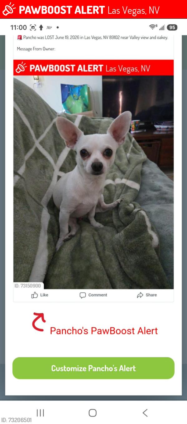 Lost Male Dog last seen Gowan & Torrey pines, Las Vegas, NV 89130