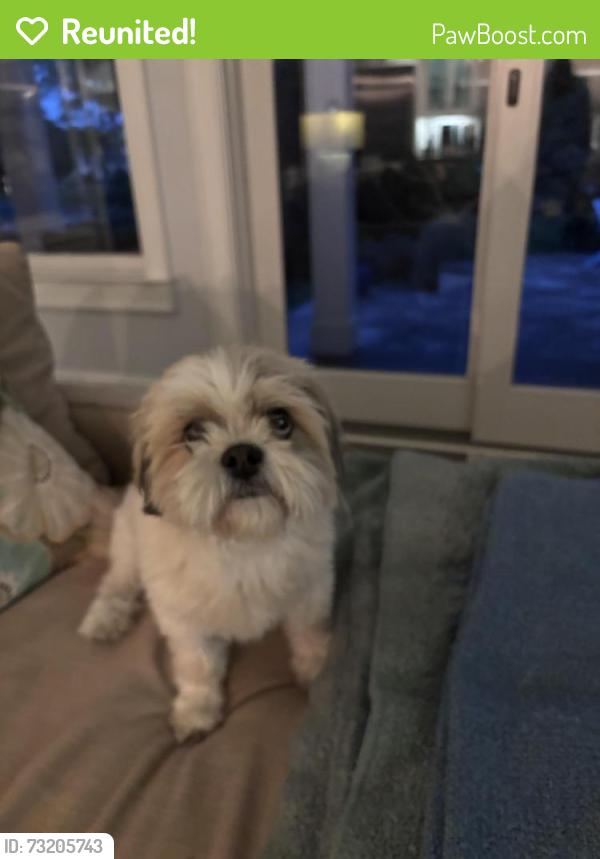 Reunited Male Dog last seen Bay colony drive, Virginia Beach, VA 23451