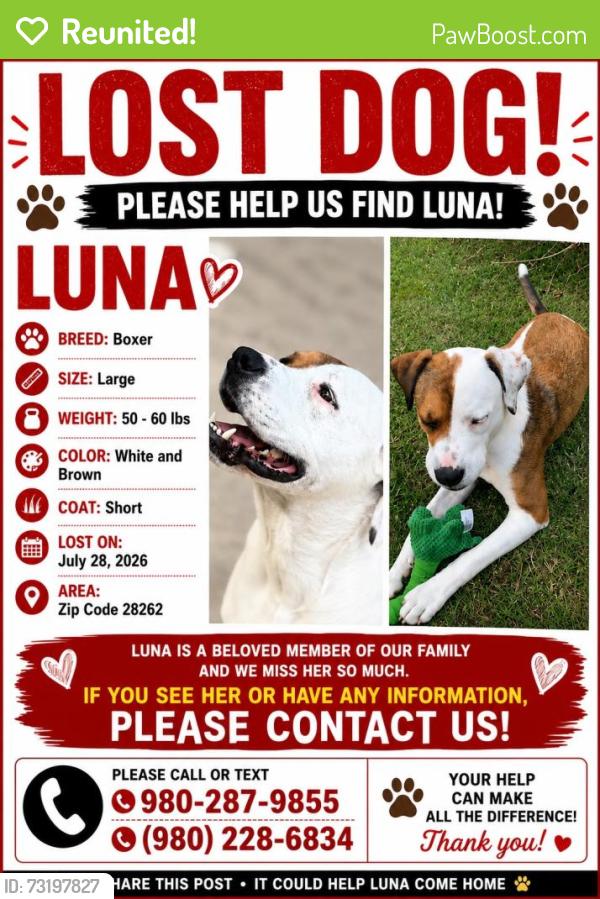 Reunited Female Dog last seen By the nears gas station, Charlotte, NC 28262