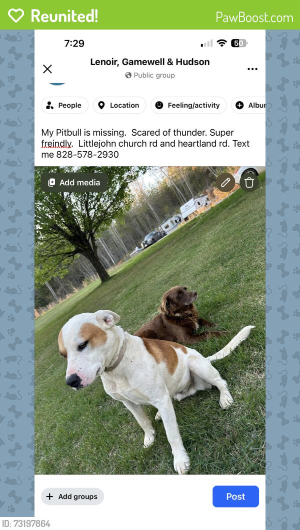Reunited Male Dog last seen Heartland Rd, Lenoir, NC 28645