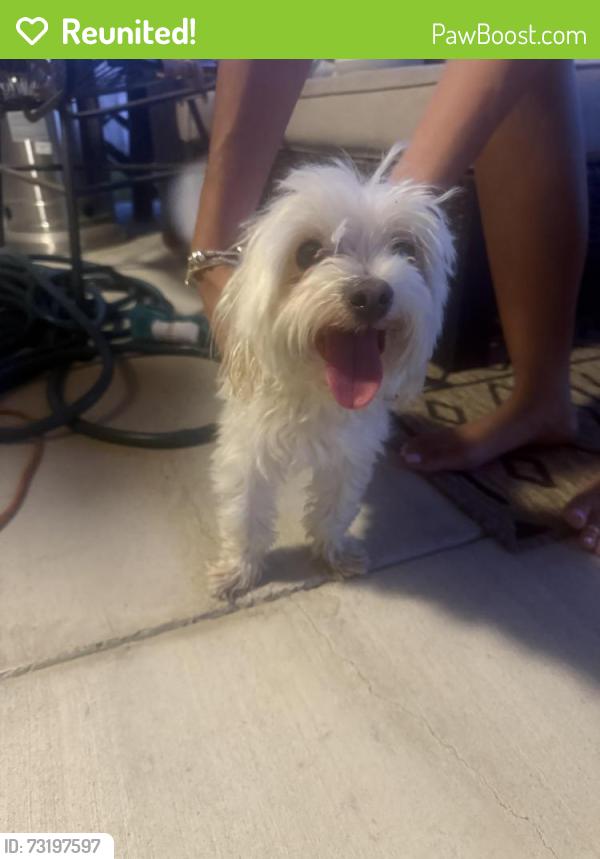 Reunited Male Dog last seen Lonesome Dove Park, Arlington, TX 76002