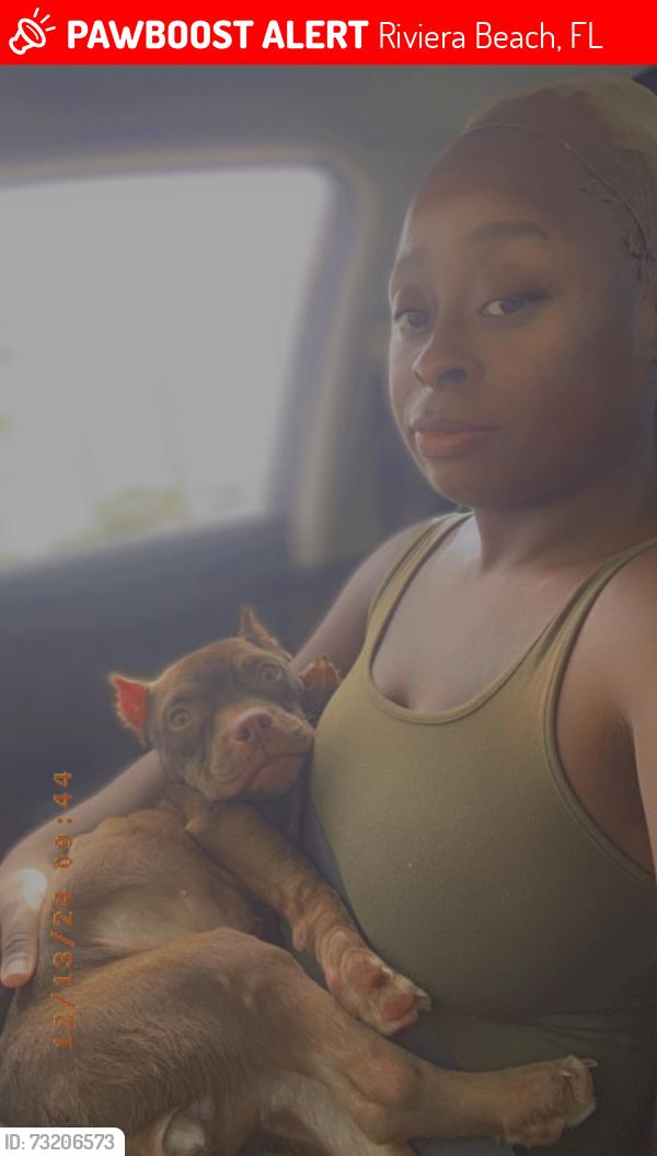 Lost Female Dog last seen Studio 6, Riviera Beach, FL 33404