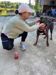 Reunited Female Dog last seen Bowman Rd and Dudley Shoals Rd., Granite Falls, NC 28630