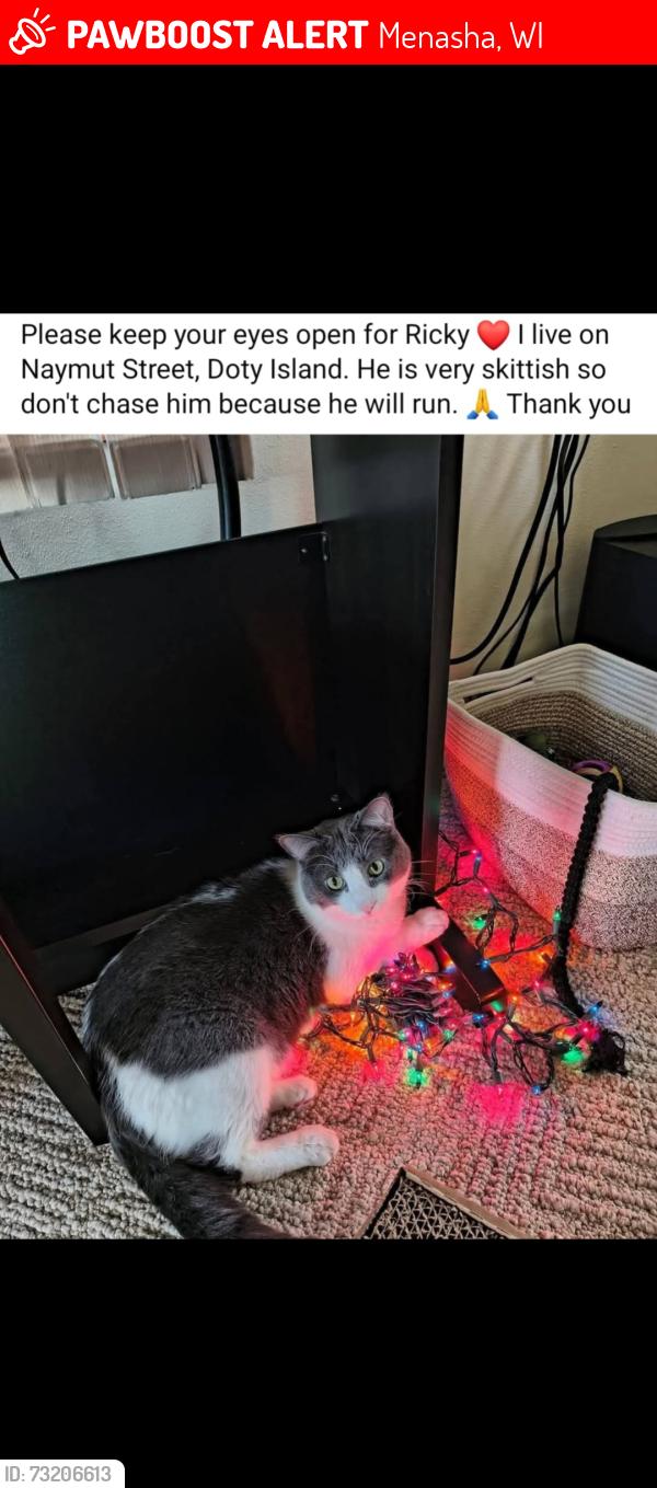 Lost Male Cat last seen Smith Park Area, Menasha, WI 54952
