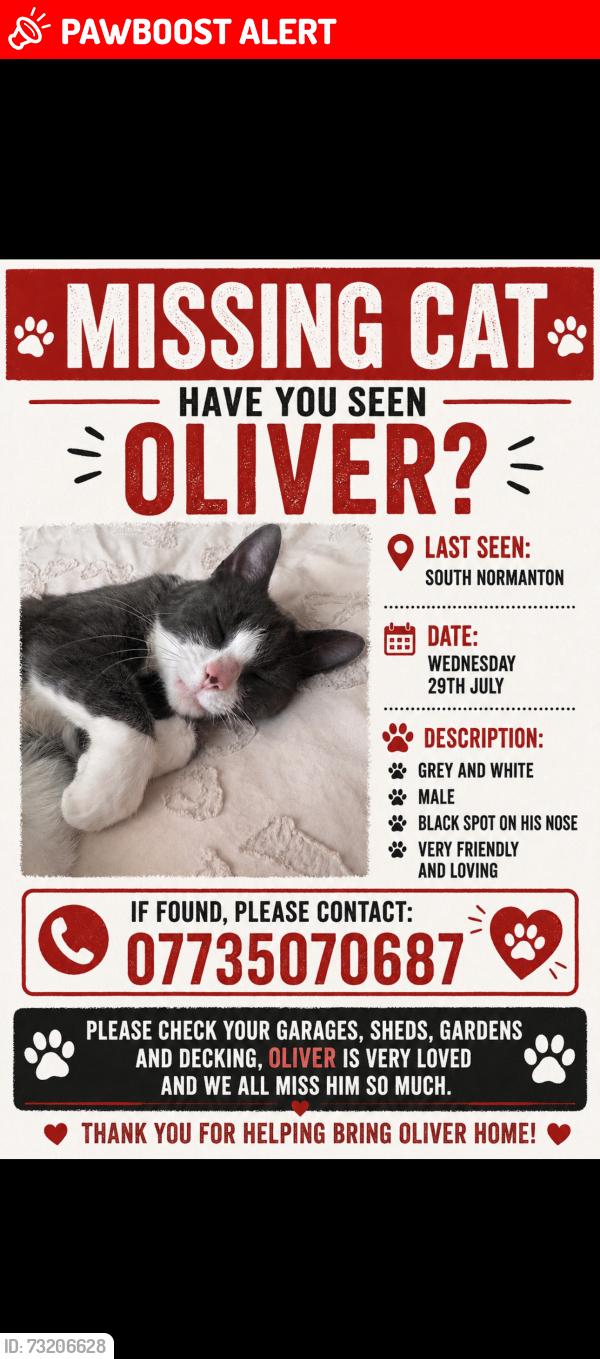 Lost Male Cat last seen Our home, South Normanton, England DE55 2AH