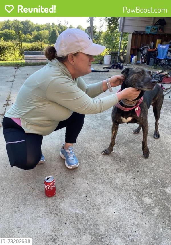 Reunited Female Dog last seen Bowman Rd and Dudley Shoals Rd., Granite Falls, NC 28630