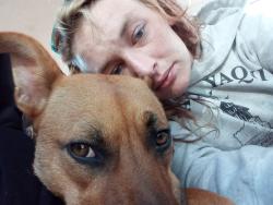Lost Female Dog last seen Q, Arcata, CA 95521
