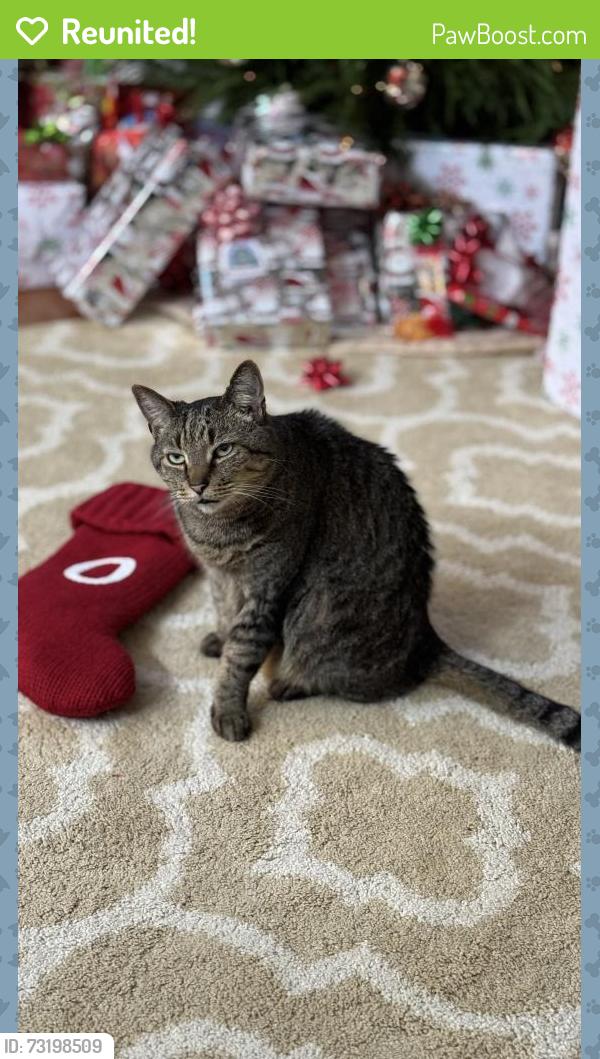 Reunited Male Cat last seen Rocky slope road, Greenville, SC 29607