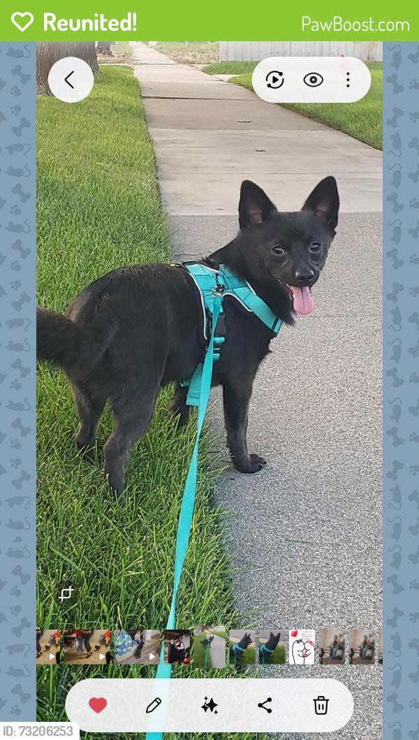 Reunited Male Dog last seen Near S 4100 W, West Valley City, UT 84120