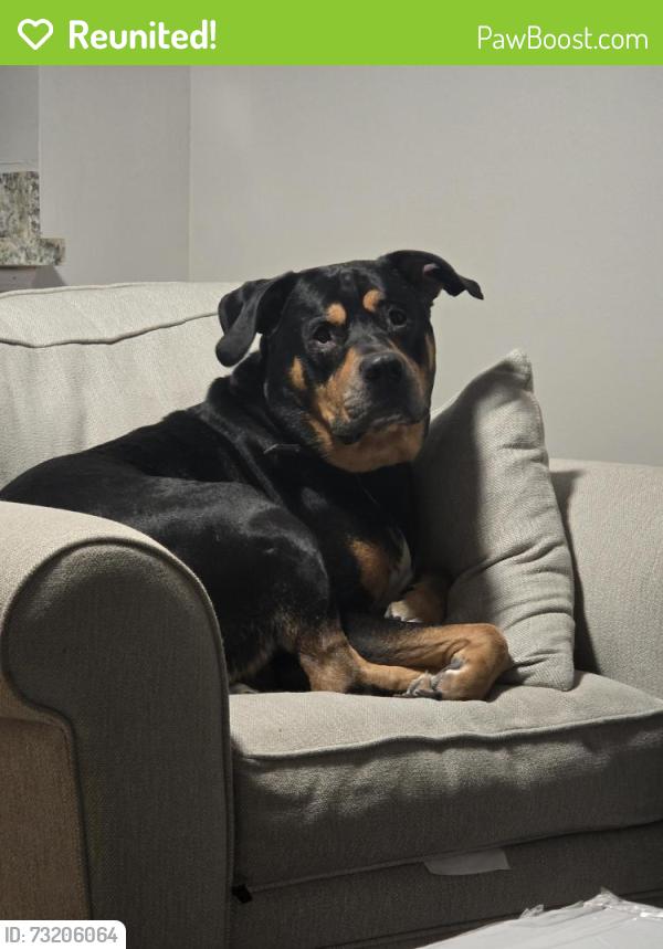 Reunited Male Dog last seen Church and Shoreview, Richmond, VA 23233
