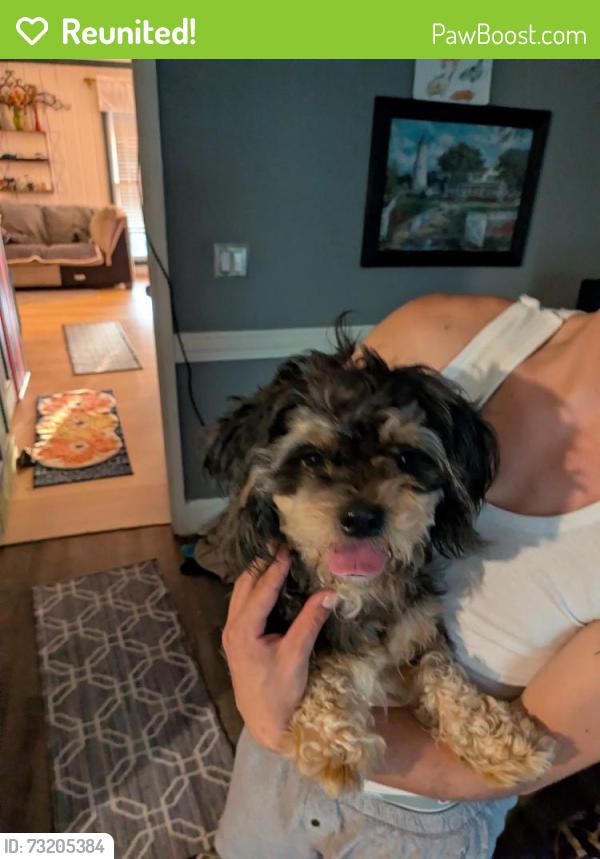 Reunited Male Dog last seen Lewisville clemmons Peace haven, Winston-Salem, NC 27104
