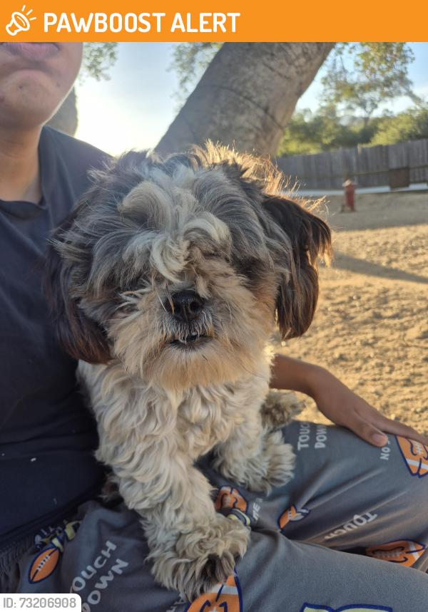 Found/Stray Unknown Dog last seen Rudnick Dr Jamul, San Diego County, CA 91935