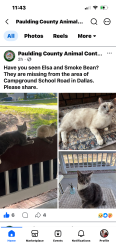 Lost Unknown Cat last seen Campground school road Dallas Ga, Paulding County, GA 30157