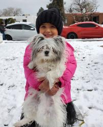 Lost Male Dog last seen San pedro/Zuni/Kathryn, Albuquerque, NM 87108