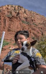 Lost Male Dog last seen Near w taylor st, Avondale, AZ 85323