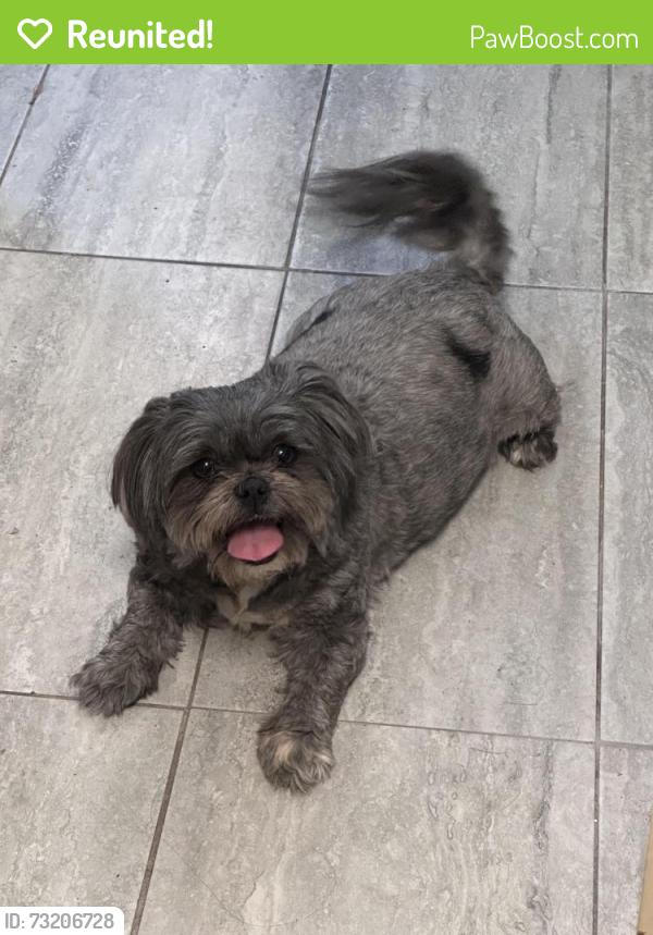 Reunited Female Dog last seen 48th Street and Baker Ave, Sacramento, CA 95820