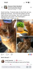 Reunited Male Cat last seen Old oak post, East Amherst, NY 14051