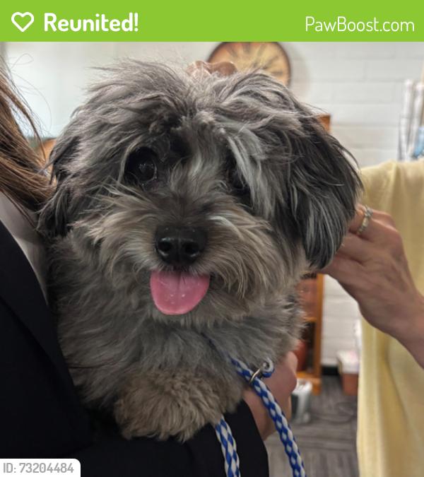 Reunited Male Dog last seen Howe Avenue, near American River Dr, Sacramento, CA 95825
