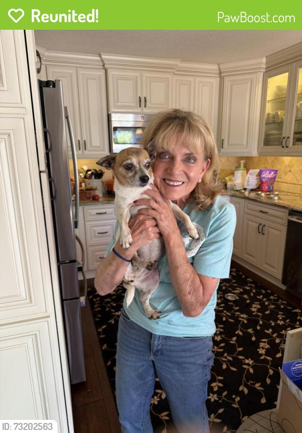 Reunited Female Dog last seen S Saginaw St, Grand Blanc, MI 48439