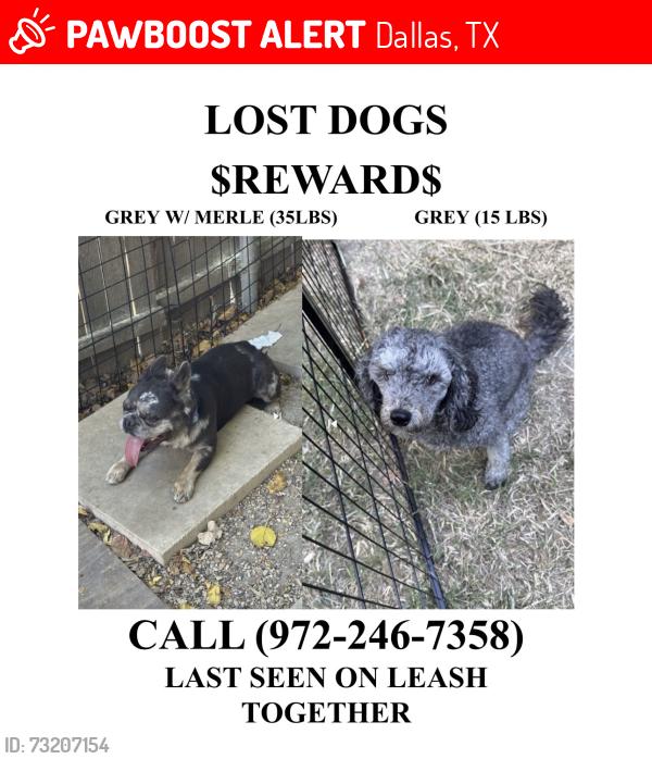 Lost Male Dog last seen Kaw & Kirnwood St, Dallas, TX 75241