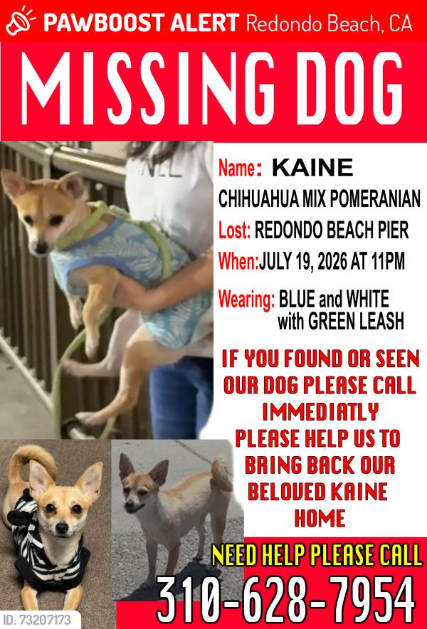 Lost Female Dog last seen Redondo Beach Pier, Redondo Beach, CA 90254