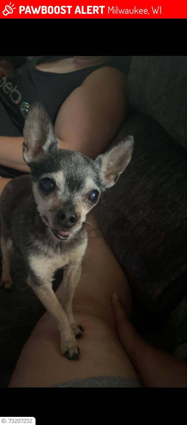Lost Male Dog last seen 12th and Arthur, Milwaukee, WI 53215