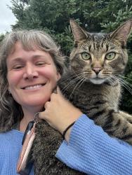 Reunited Male Cat last seen Whitney Ave, Hamden, CT 06518