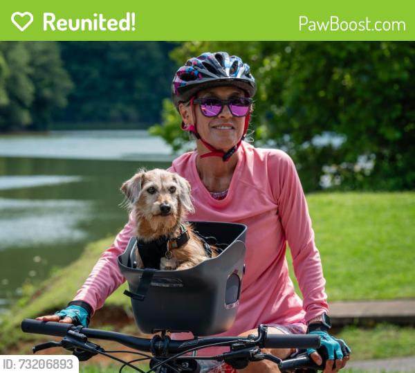 Reunited Male Dog last seen Near Summerglen Drive, Asheville, NC 28806