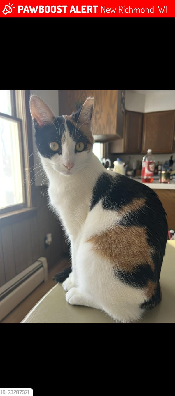 Lost Female Cat last seen 1st street. Fire station, New Richmond, WI 54017