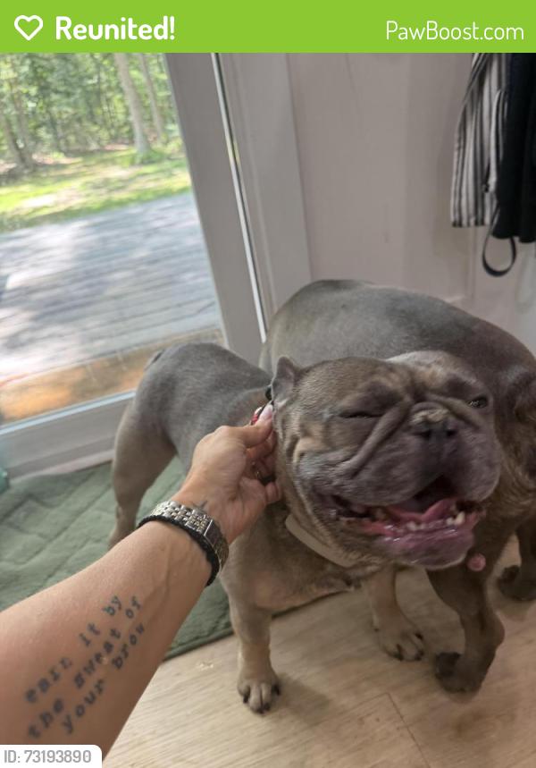 Reunited Male Dog last seen Buck Road, Monroeville Road, Three Bridge Road, Franklin, NJ 08343