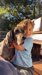 Reunited Female Dog last seen Cleveland Ave and Cecil St, Irvington, AL 36544