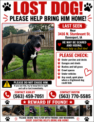 Lost Male Dog last seen Northwest park, Davenport, IA 52806