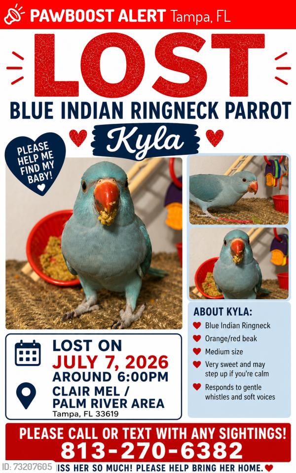 Lost Female Bird last seen 24th Ave S and Maydell St, Tampa, FL 33619
