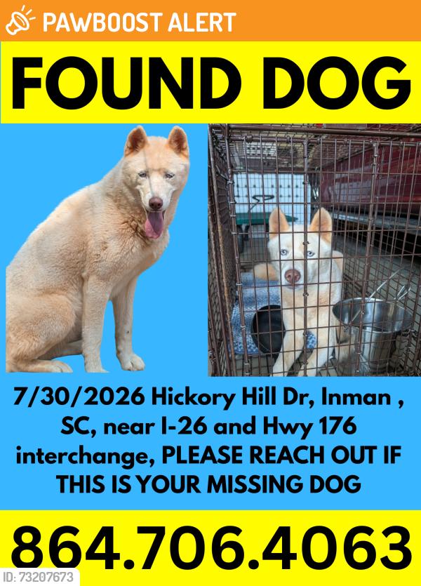 Found/Stray Female Dog last seen I-26 and Hwy 176, Inman, SC, Spartanburg County, SC 29349