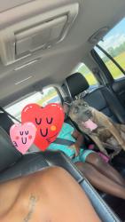 Lost Female Dog last seen W jones ave, Selma, NC 27576