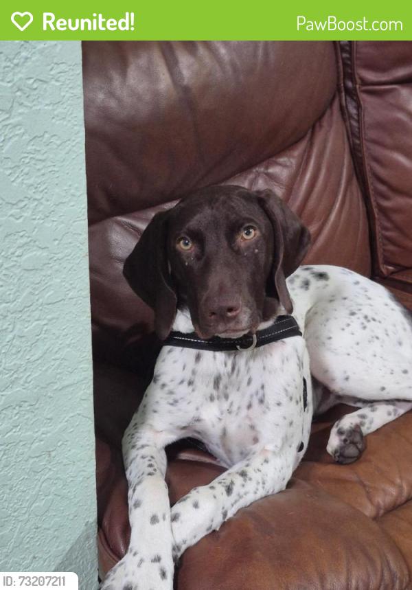 Reunited Male Dog last seen Cypress Gardens RD and S. Lake Florence Dr, Winter Haven, FL 33884