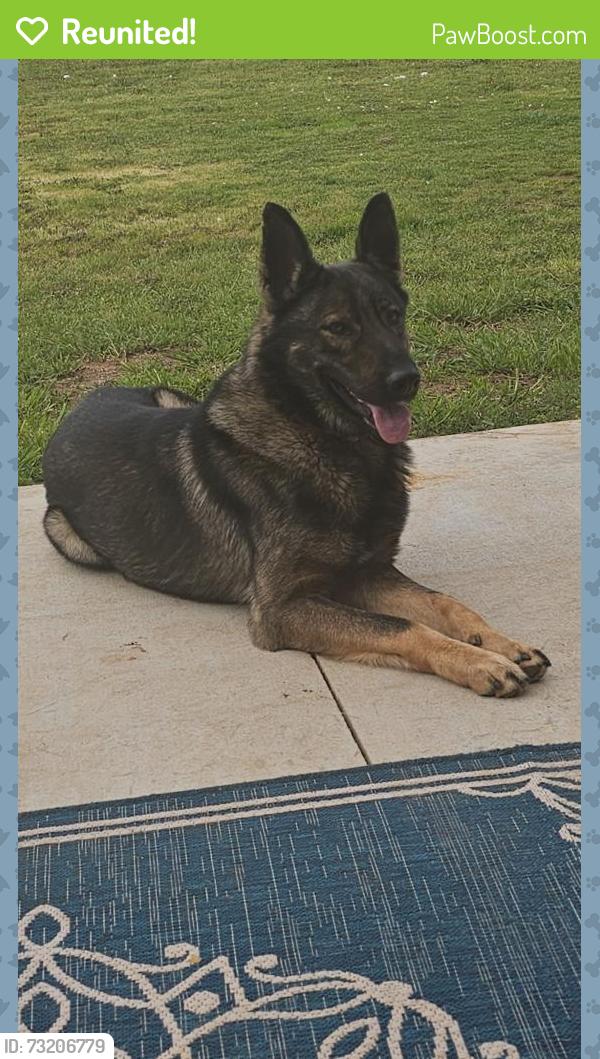Reunited Male Dog last seen Near east renfro, Burleson, TX 76028