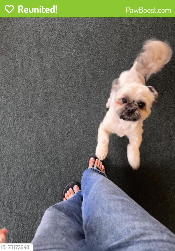 Reunited Male Dog last seen Pacific Ave, Long Beach, CA 90813