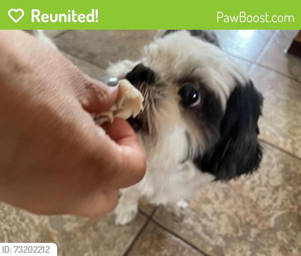 Reunited Male Dog last seen 51st Place and Eagle Ct, Denver, CO 80239