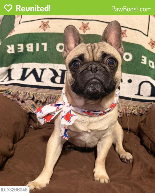 Reunited Male Dog last seen Lonesome Dove ests, Arlington, TX 76002