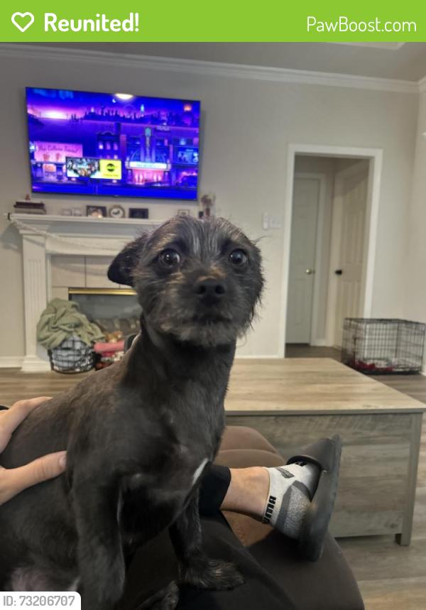 Reunited Male Dog last seen Near Azalea Trl, Waxahachie, TX 75165