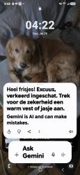 Reunited Male Dog last seen Houston park, Denver, CO 80223