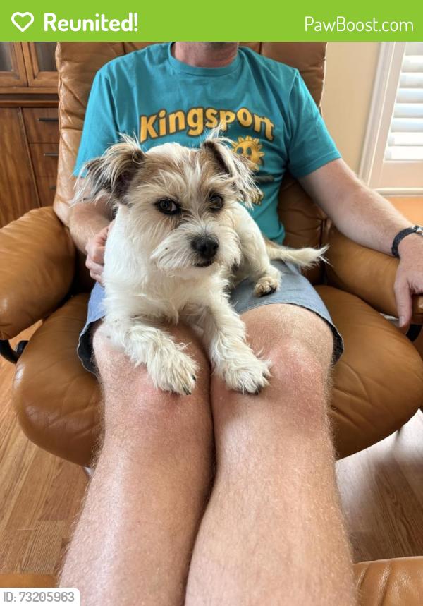 Reunited Female Dog last seen Middlebrook pike and N. Gallagher rd at Weigels and Cedar Bluff Animal hosp, Knoxville, TN 37920