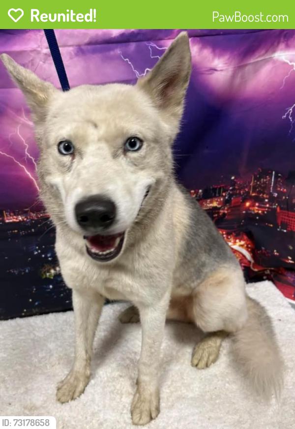 Reunited Unknown Dog last seen Located at Rockdale County Animal Service, 1506 Rockbridge Road, Conyers, GA 30012, Conyers, GA 30012