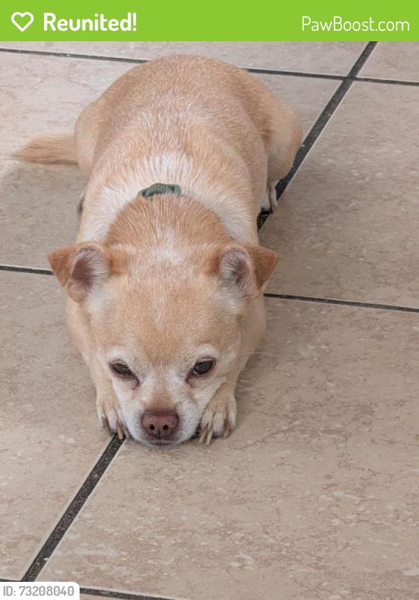 Reunited Male Dog last seen 22nd St and 1st Ave, Greeley, CO 80631