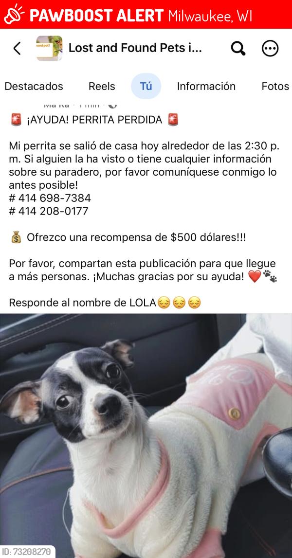 Lost Female Dog last seen Milwaukee wisconsin, Milwaukee, WI 53216